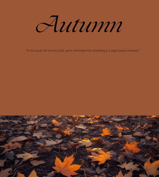 Autumn-1 Autumn-1